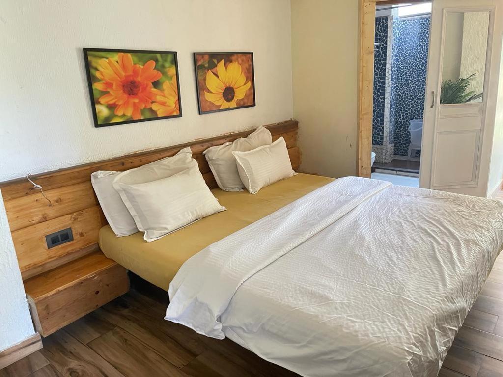 Sunrise Cottage Dagshai المظهر الخارجي الصورة